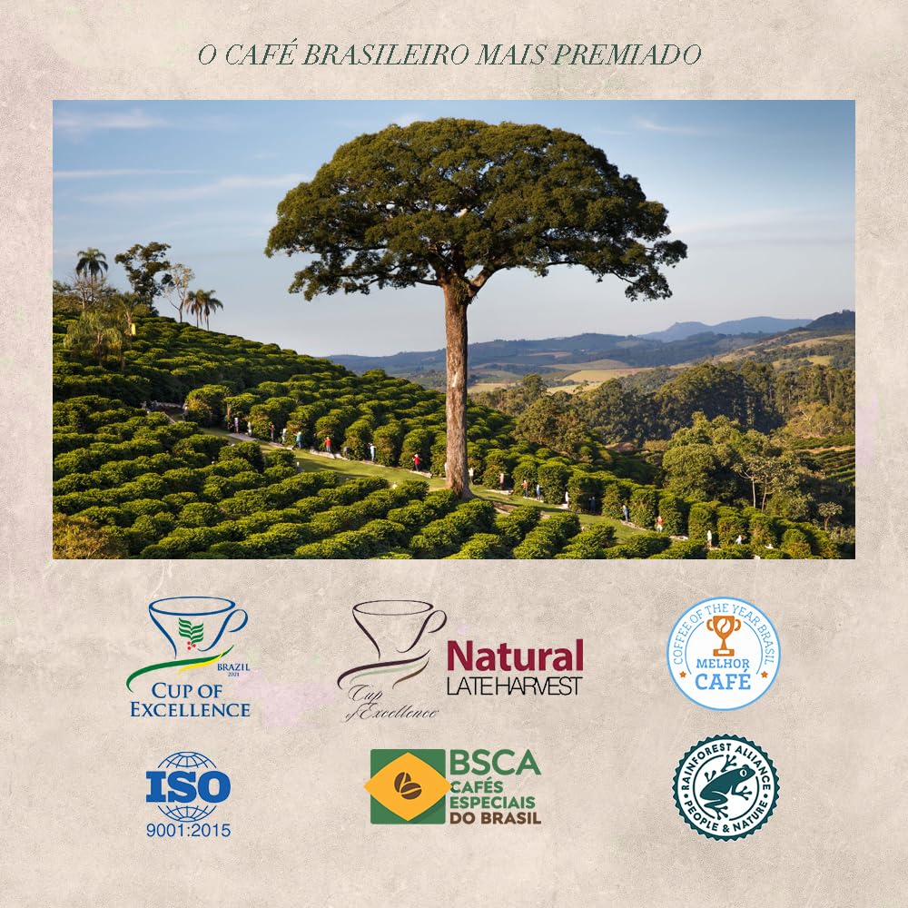 Orfeu Café Clássico em Grãos, 100% Arabica, Torra Média, 1kg