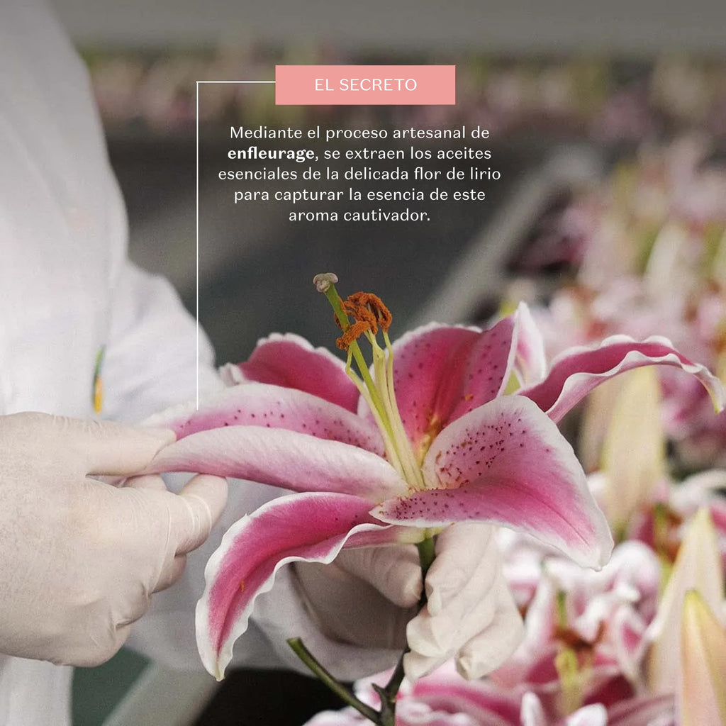 Lily Eau de Parfum 75ml - O Boticário
